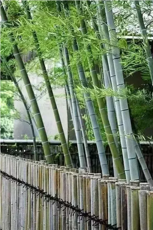 QQ图片20170821164633.png