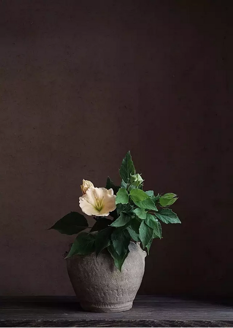 QQ图片20170922093115.png