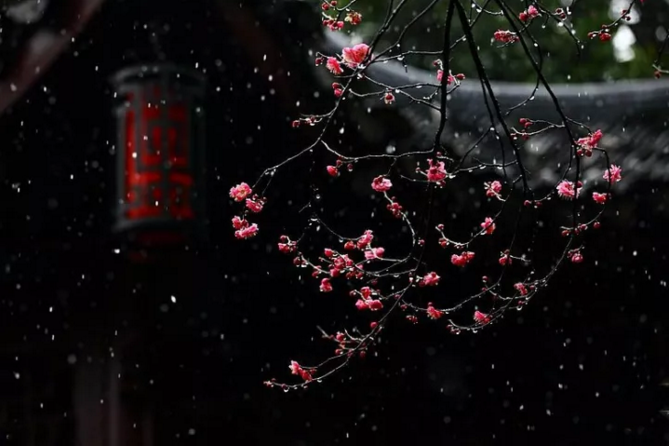 QQ图片20171220093920.png