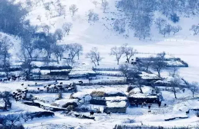 QQ图片20171220094342.png