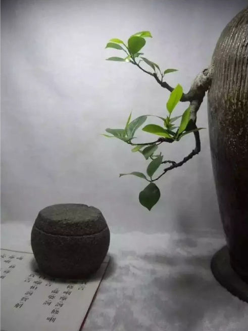 QQ图片20180625143948.png