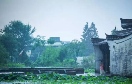QQ图片20180807100034.png
