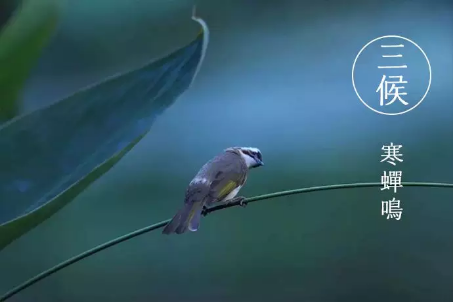 QQ图片20180807100138.png