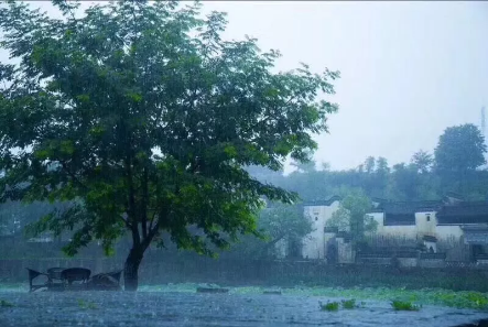 QQ图片20180807100154.png