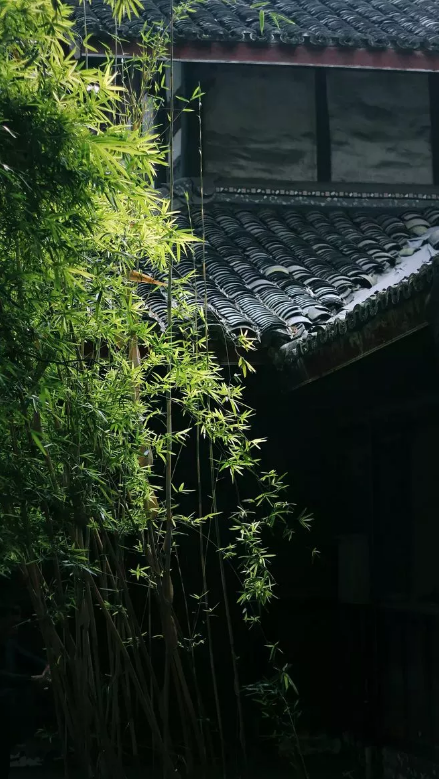 QQ图片20180807100258.png