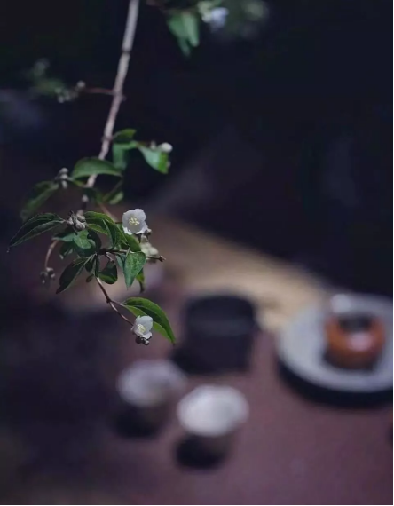 QQ图片20180807100429.png