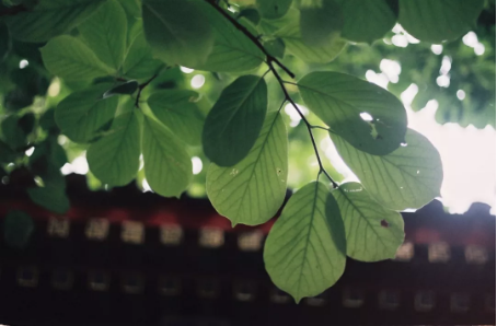 QQ图片20181015100145.png