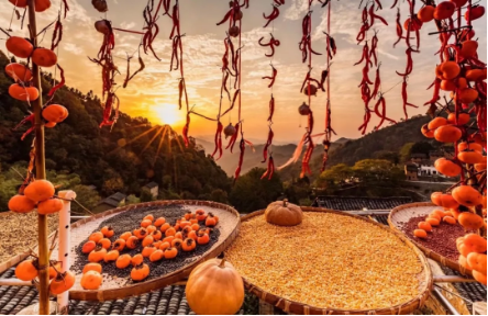 1540172037959092.png QQ图片20181022091957.png