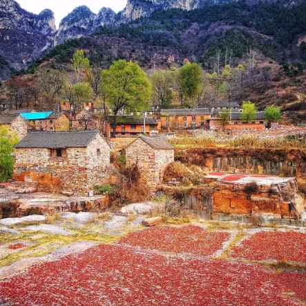 1540172114110819.png QQ图片20181022092209.png