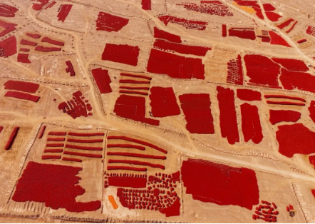 1540172134366028.png QQ图片20181022092253.png