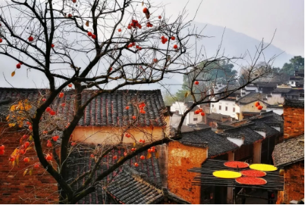 1540172174300533.png QQ图片20181022092312.png