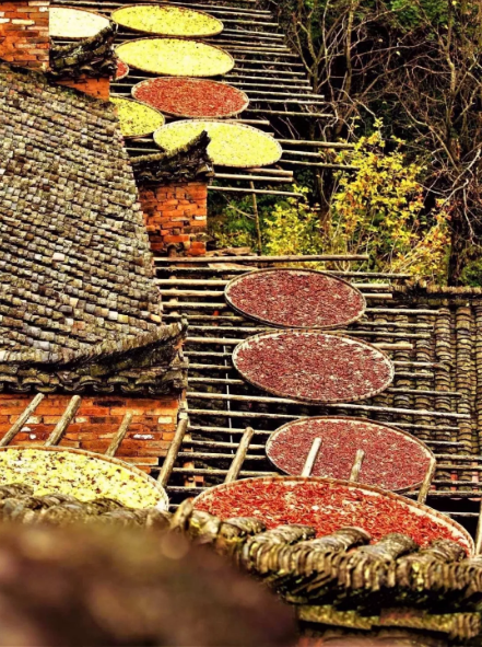 1540172198325750.png QQ图片20181022092411.png