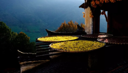 1540172233955305.png QQ图片20181022092452.png