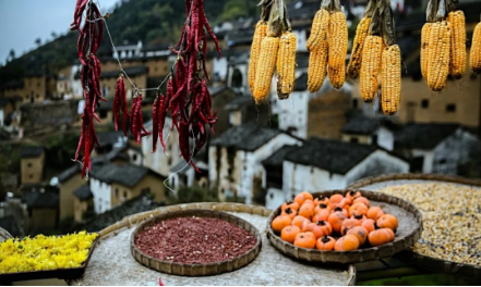 1540172294112880.png QQ图片20181022092601.png