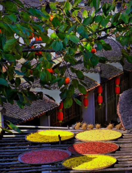 1540172311302126.png QQ图片20181022092641.png