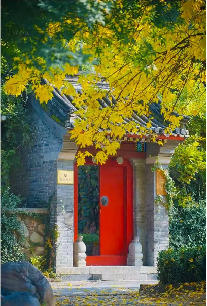 QQ图片20181112102344.png