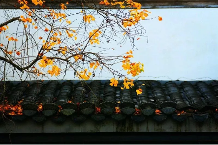QQ图片20181112105151.png