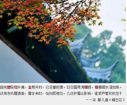 QQ图片20181112105301.png