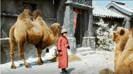 QQ图片20181205104203.png