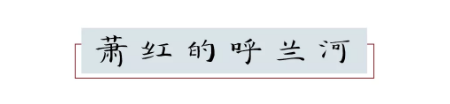 QQ图片20181205104853.png