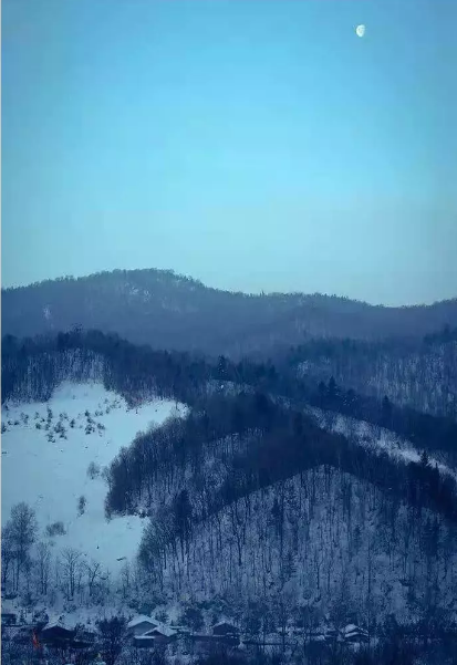 QQ图片20181221100748.png