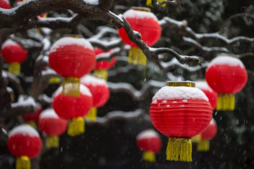 QQ图片20190129154405.png