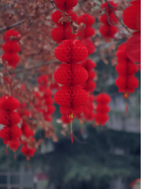 QQ图片20190129162512.png