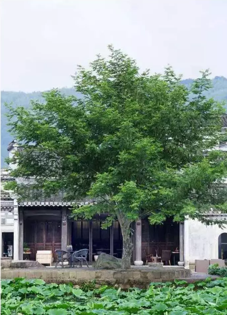 QQ图片20190510094851.png