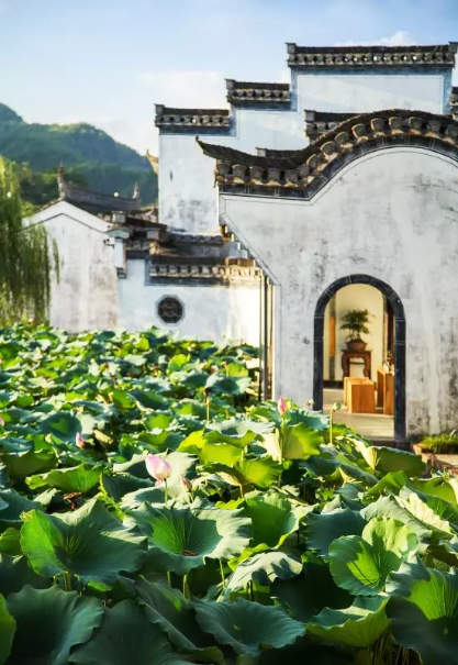QQ图片20190510100321.png