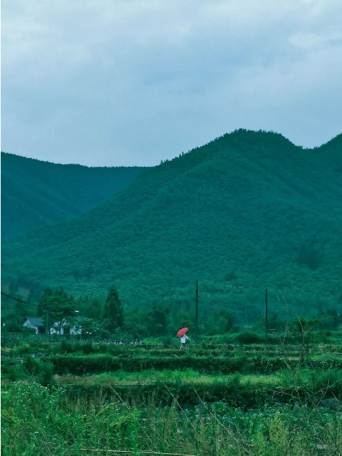 QQ图片20190619085904.png