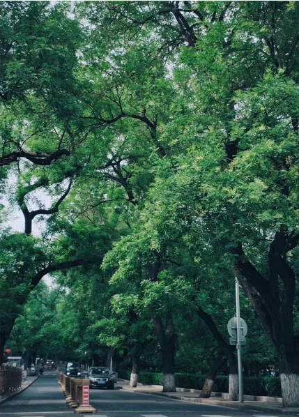 QQ图片20190620094235.png