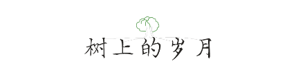 QQ图片20190620094417.png