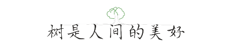 QQ图片20190620094728.png