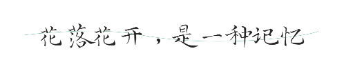 QQ图片20190626090758.png
