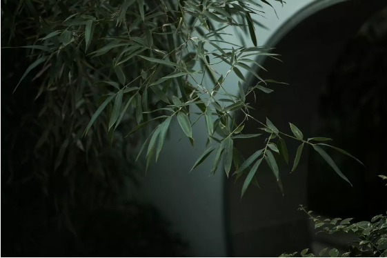 QQ图片20190816160212.png