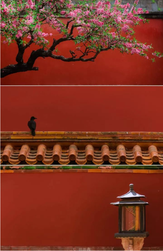 QQ图片20190924094207.png