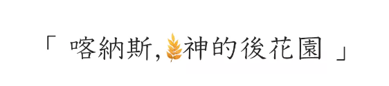 QQ图片20191121134815.png