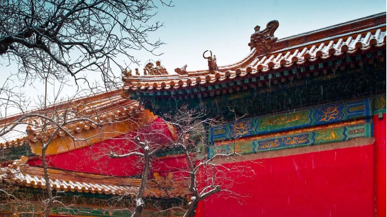 QQ图片20191212111234.png