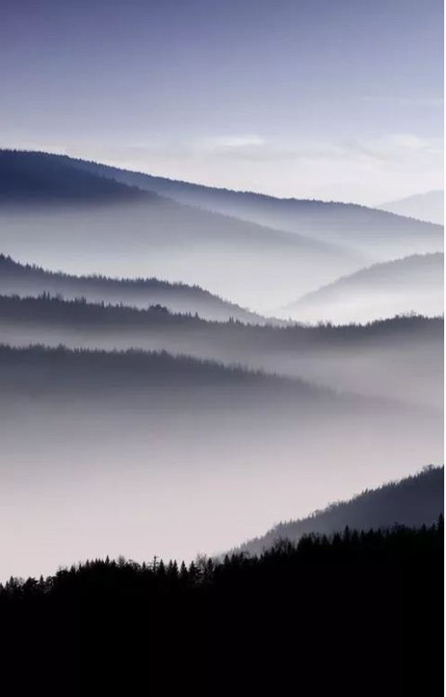 QQ图片20200109134730.png