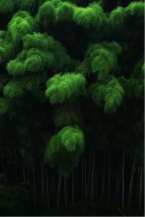 QQ图片20200109135035.png