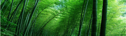 QQ图片20200109135058.png