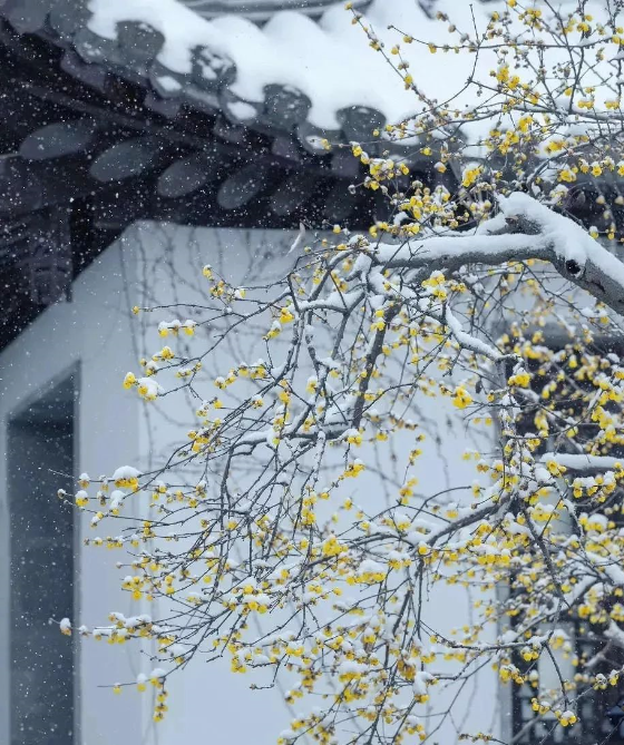 QQ图片20200109164227.png