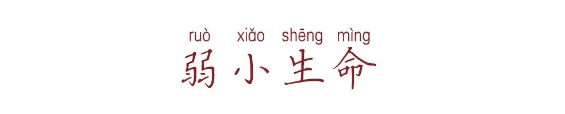 QQ图片20200305090116.png