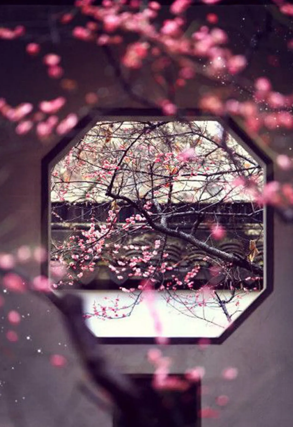 QQ图片20200401153404.png