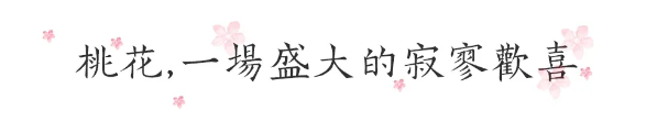 QQ图片20200401153440.png