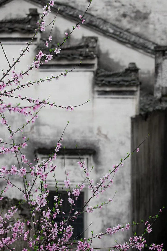 QQ图片20200401161122.png