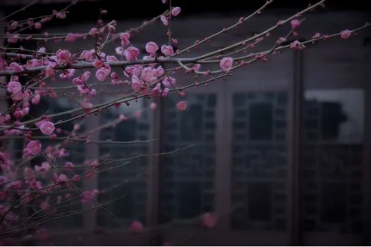 QQ图片20200401161212.png