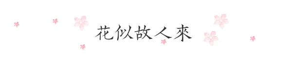 QQ图片20200401161526.png