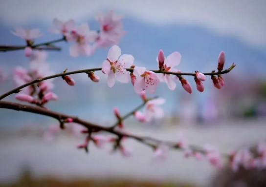 QQ图片20200401161556.png