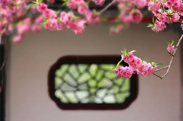 QQ图片20200401161822.png